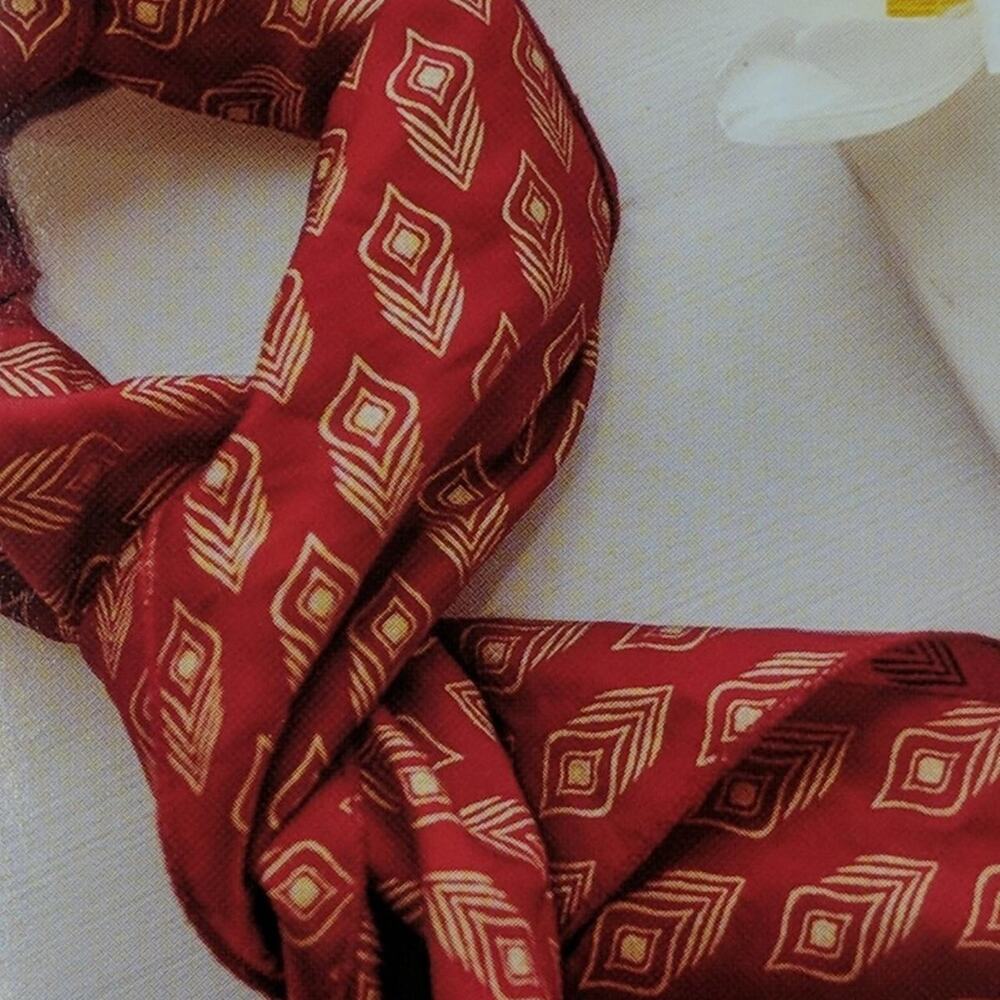 Symbology Red and Gold Feather Print Scarf - Rachel Zoe Box of Style